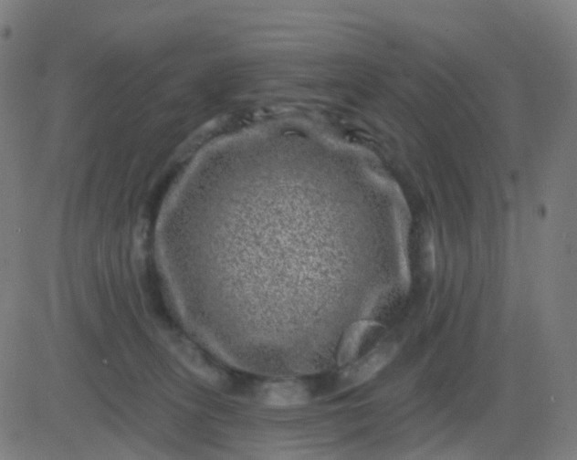 X0000082760275200702092001