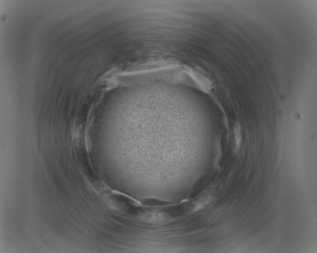 X0000082760276200702092001