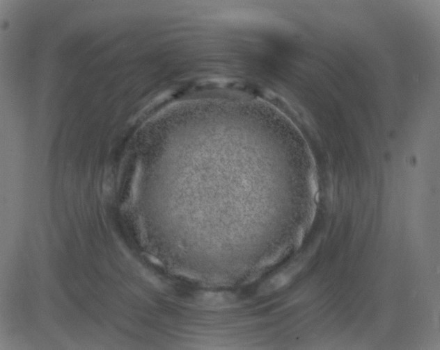 X0000082760277200702092001