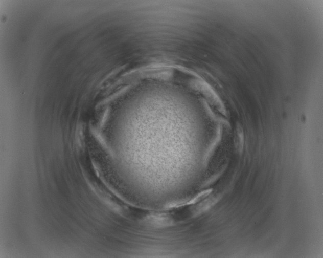 X0000082760280200702092001