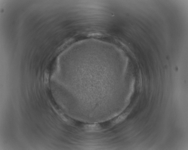 X0000082760281200702092001