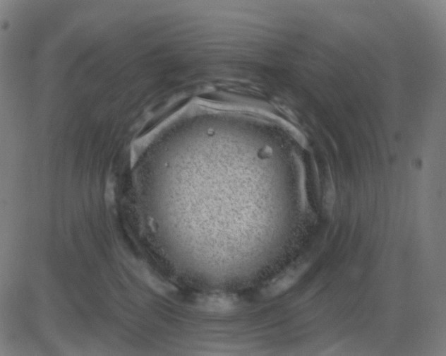 X0000082760282200702092001