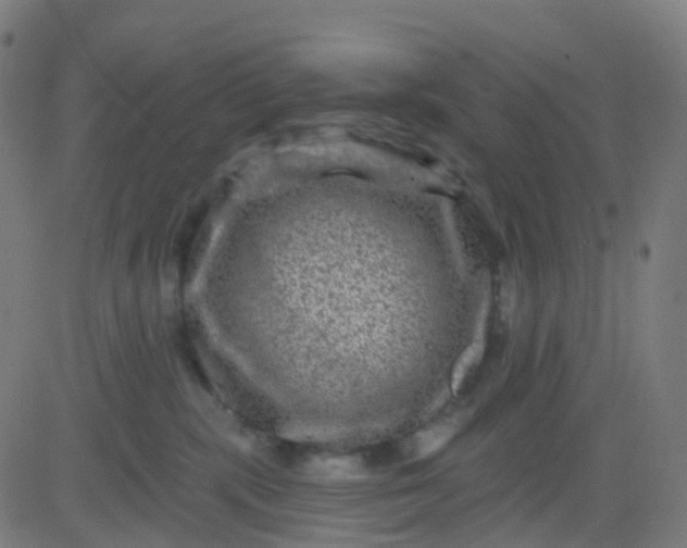 X0000082760283200702092001