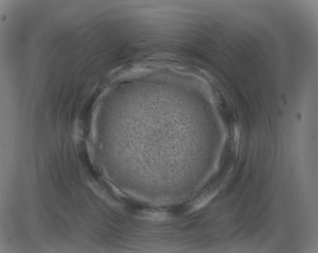 X0000082760284200702092001