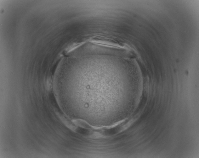 X0000082760285200702092001