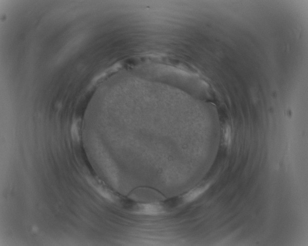 X0000082760286200702092001