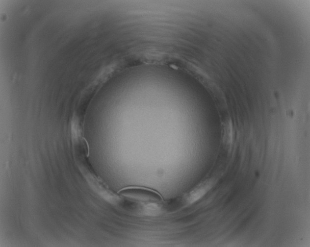 X0000082760287200702092001