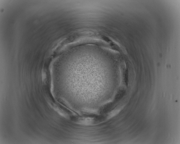 X0000082760288200702092001