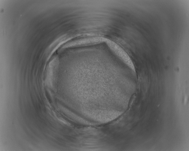 X0000082760290200702092000