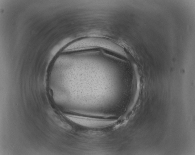 X0000082760292200702092000