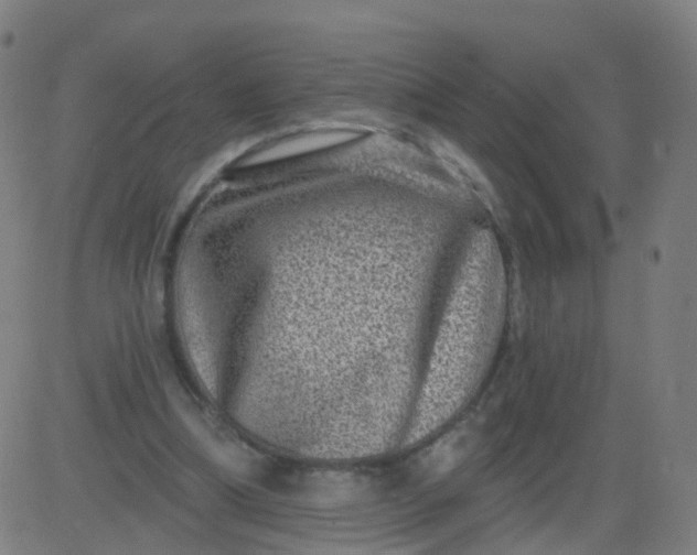 X0000082760298200702092000