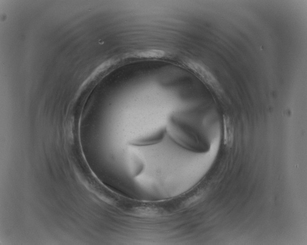 X0000082760300200702092000