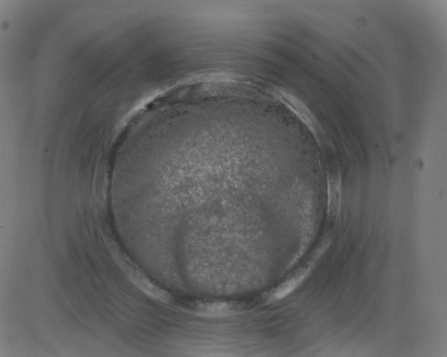 X0000082760301200702092000