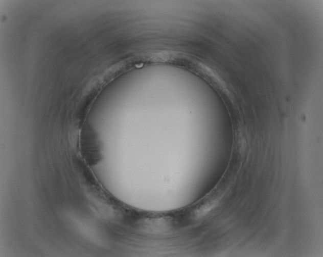 X0000082760307200702092000