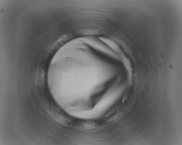 X0000082760308200702092000