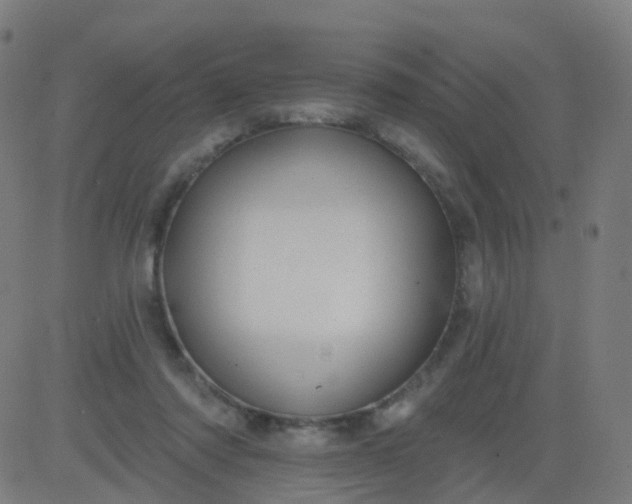 X0000082760310200702092000