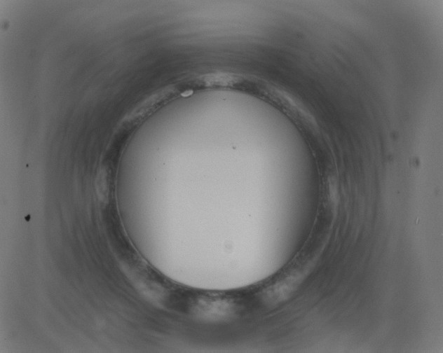 X0000082760311200702092000