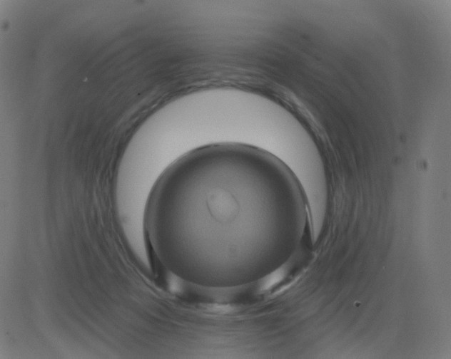 X0000082760313200702092000