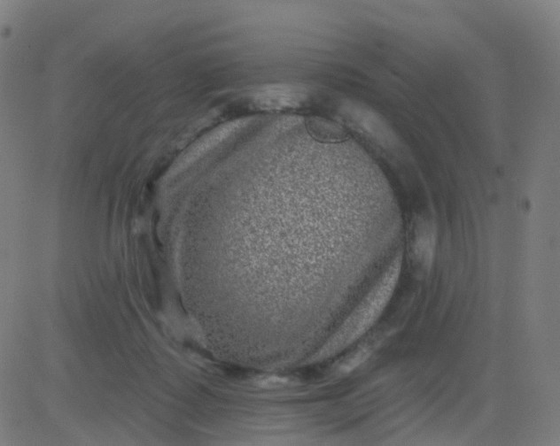 X0000082760315200702092000