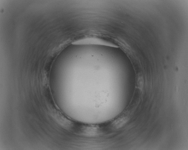 X0000082760318200702092000