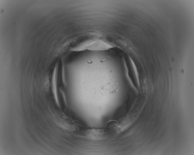 X0000082760320200702092000