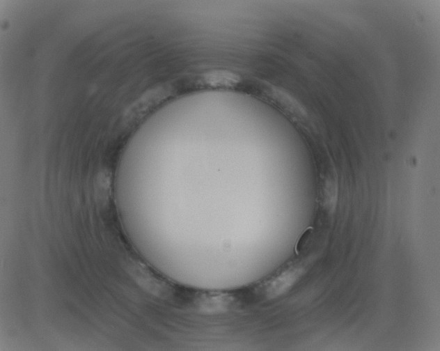 X0000082760321200702092000