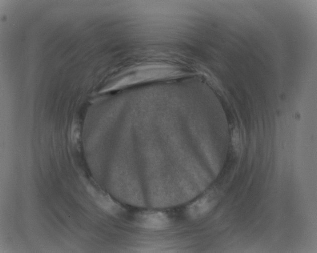 X0000082760322200702092000