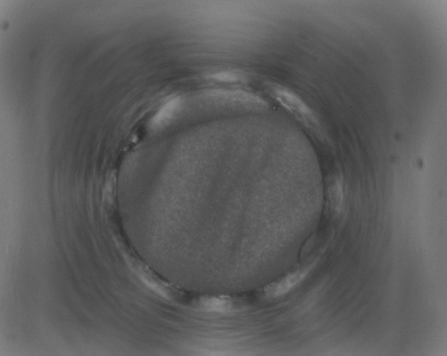 X0000082760325200702092000