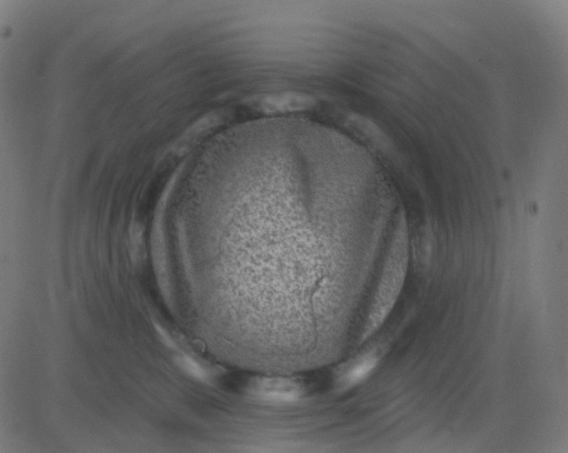 X0000082760327200702092000