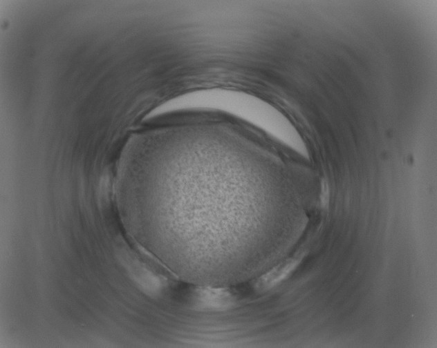 X0000082760333200702092000