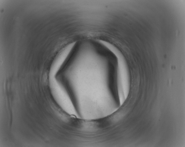 X0000082760336200702091959