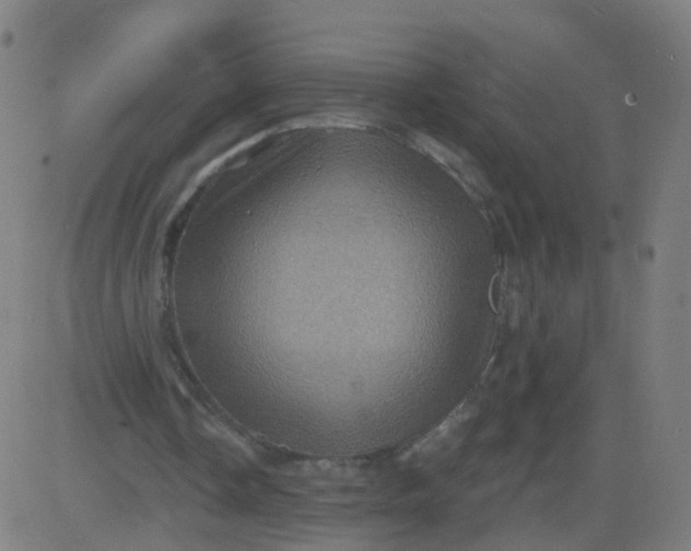 X0000082760338200702091959
