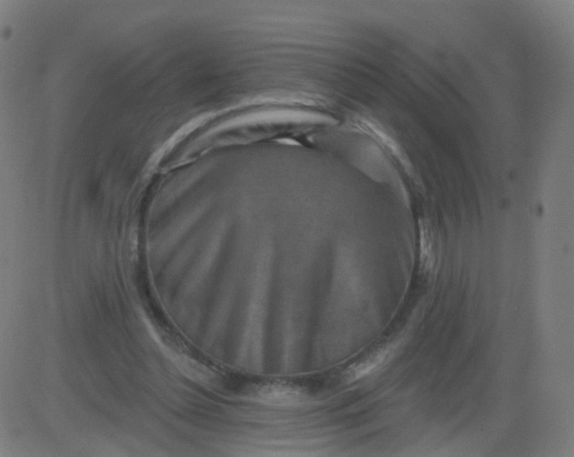 X0000082760348200702091959