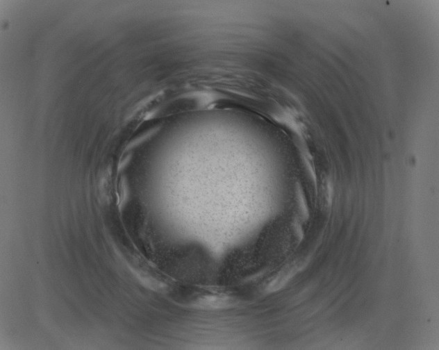 X0000082760364200702091959