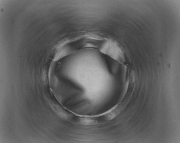 X0000082760380200702091959
