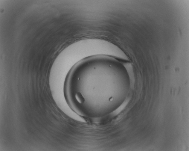 X0000082760384200702091959