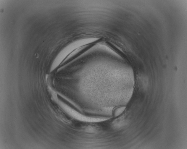X0000082760412200702091958