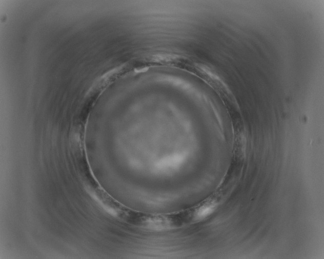 X0000082760415200702091958