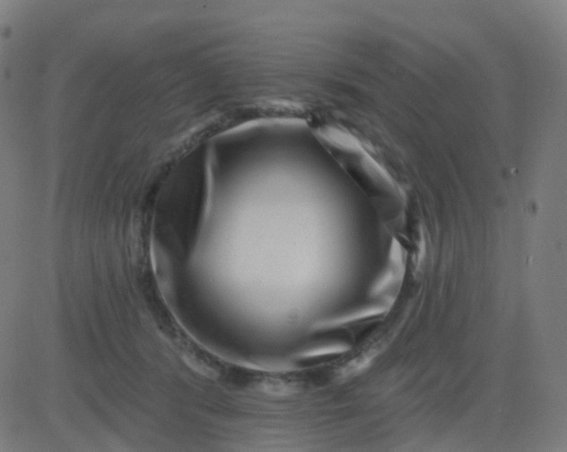 X0000082760416200702091958