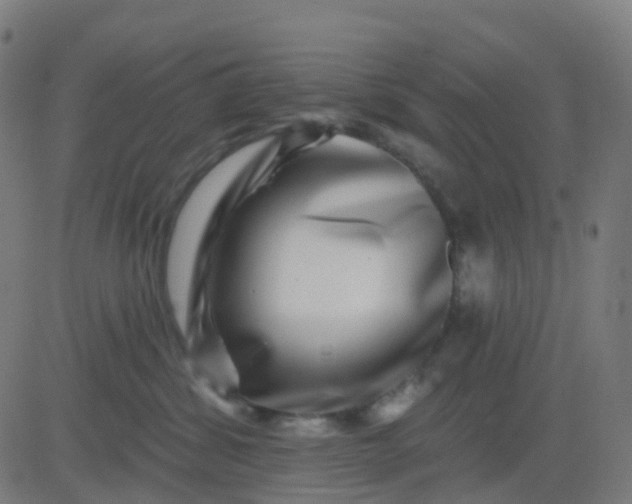 X0000082760428200702091958