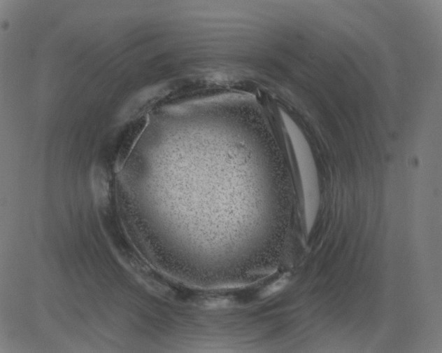 X0000082760456200702091957