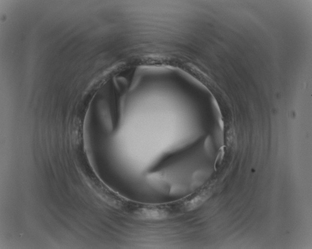 X0000082760464200702091958