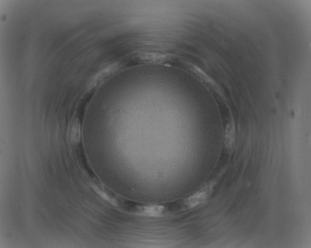 X0000082760474200702091958