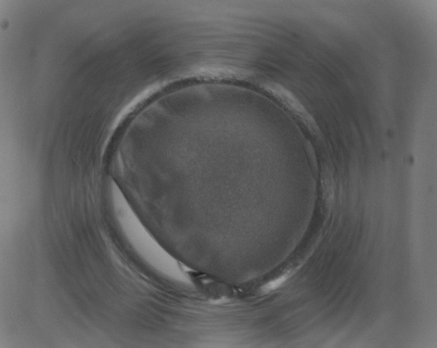 X0000082760488200702091957