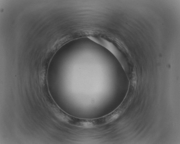 X0000082760509200702091957