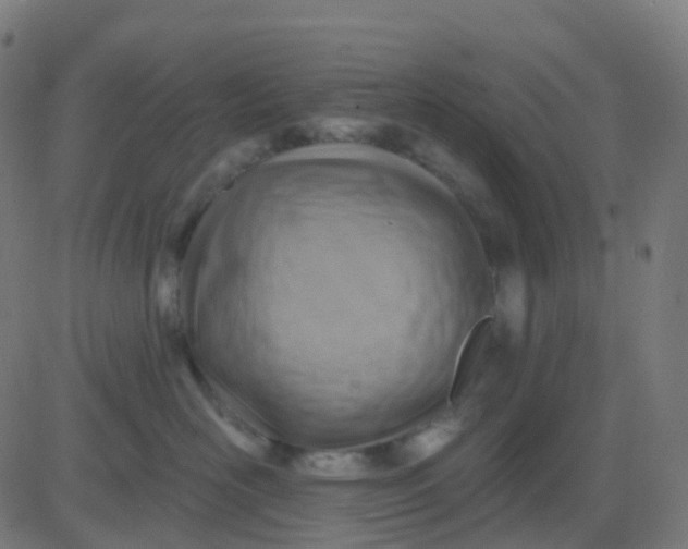 X0000082760526200702091956