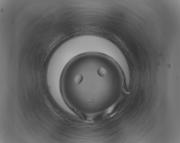 X0000082760552200702091956