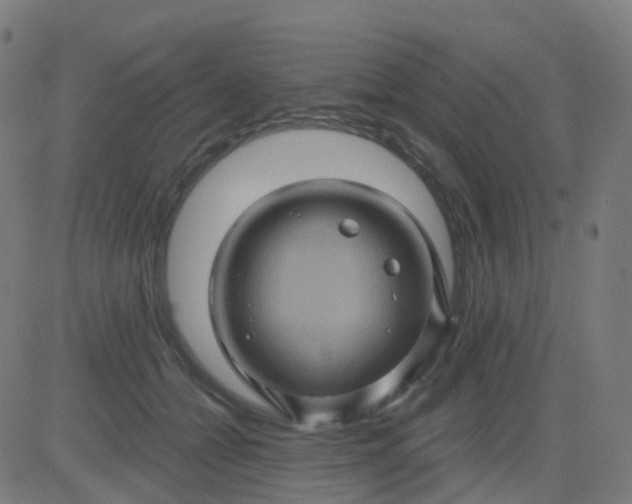 X0000082760558200702091956