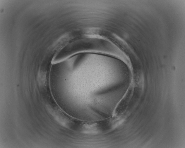 X0000082760560200702091956
