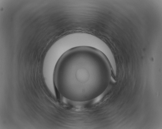 X0000082760564200702091956